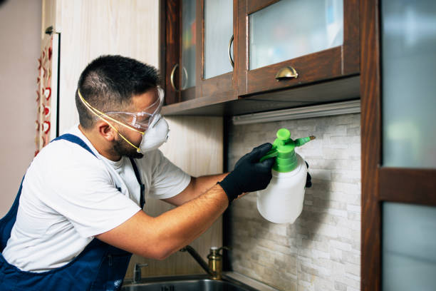 Best Insect Control  in Euclid, OH