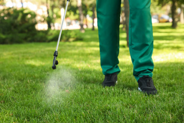 Best Pest Prevention Services  in Euclid, OH