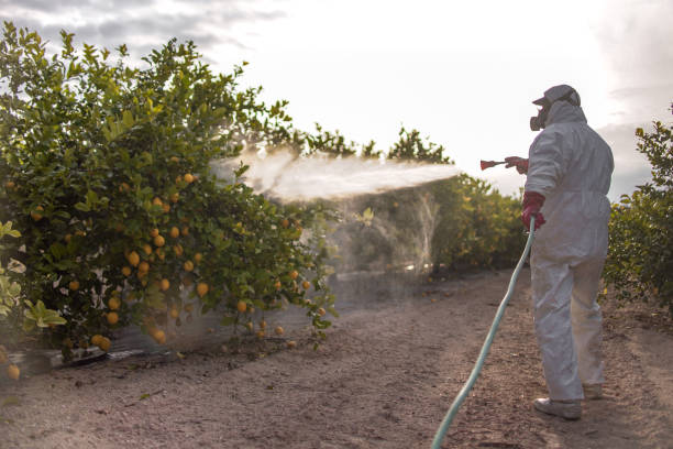 Best Pest Removal Services  in Euclid, OH