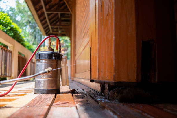 Best Affordable Pest Control Services  in Euclid, OH